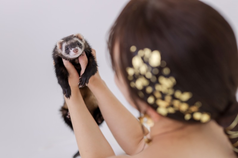 色んなペットとの撮影も叶えられる♪