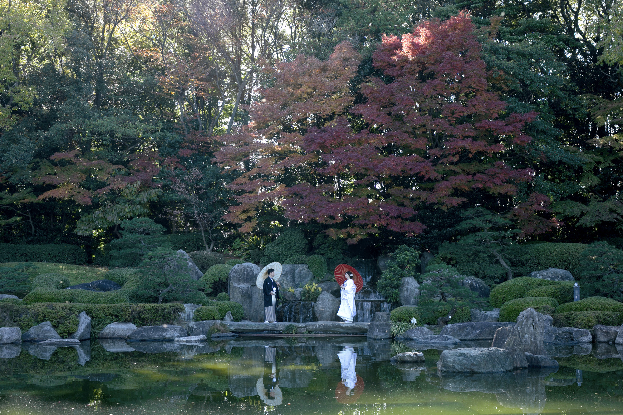 ヘアメイクの技術 写真1 before