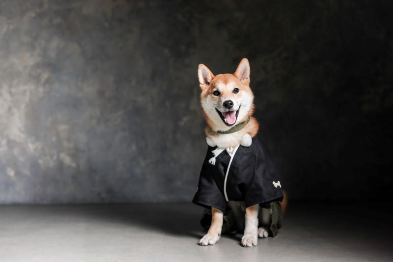 studio clori. OSAKA_ペットと一緒に撮影できる