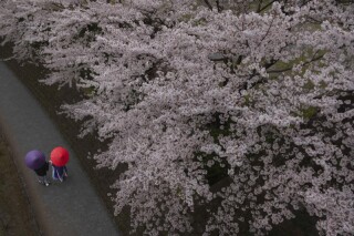 お二人を彩るロケーション