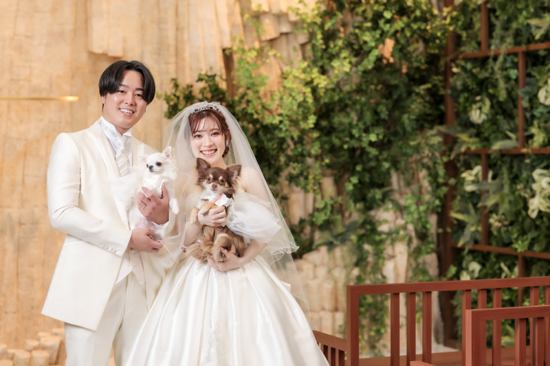 【大切なペットと一緒に♪】ペットと撮影スタジオプラン【和装でも洋装でも叶う♪】