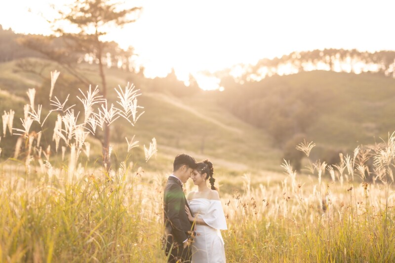 【人気の撮影スポットでの撮影が叶う♪】砥峰高原ドレスロケーションプラン◆全データ300カット+レタッチ+出張料込