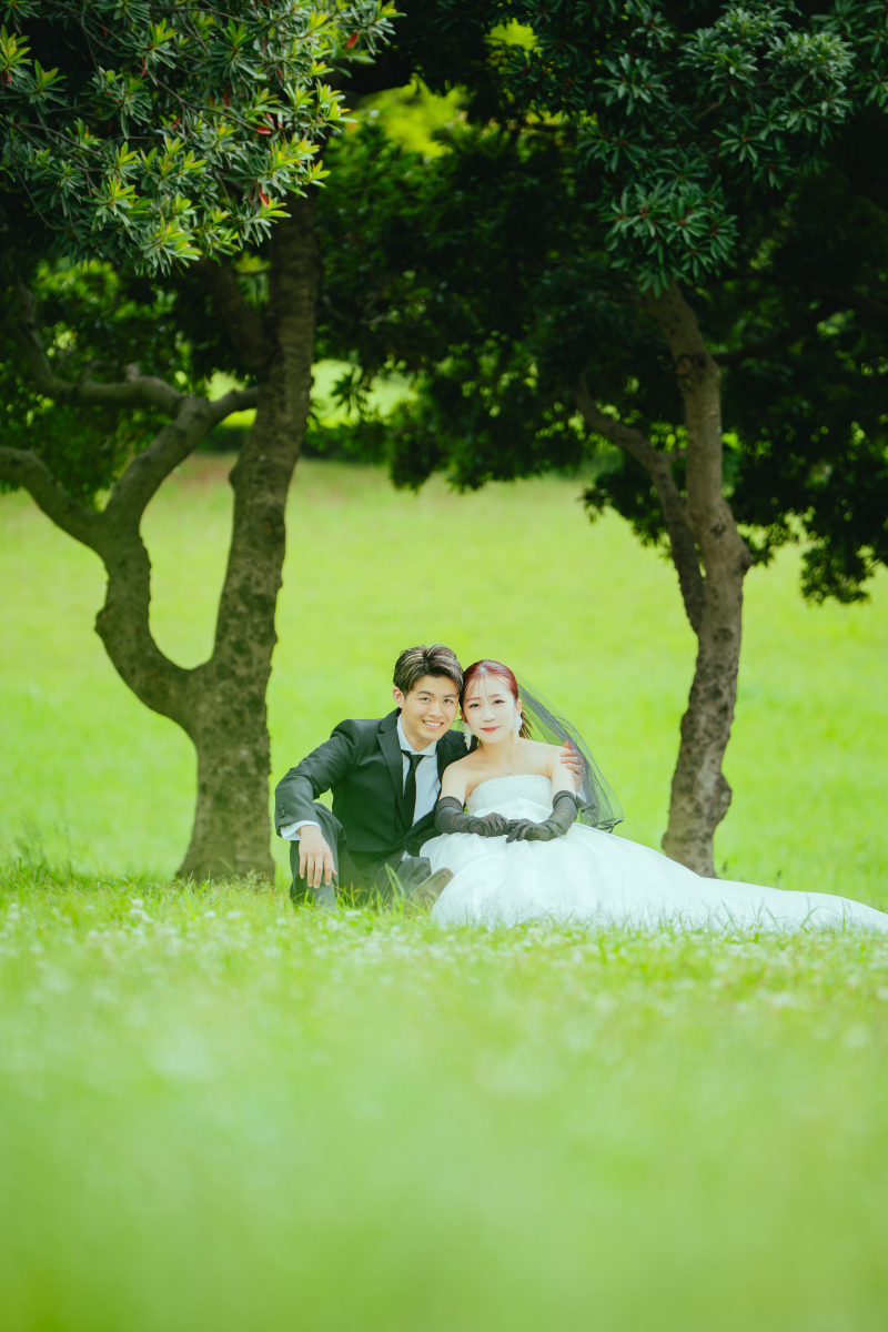 一面のグリーン