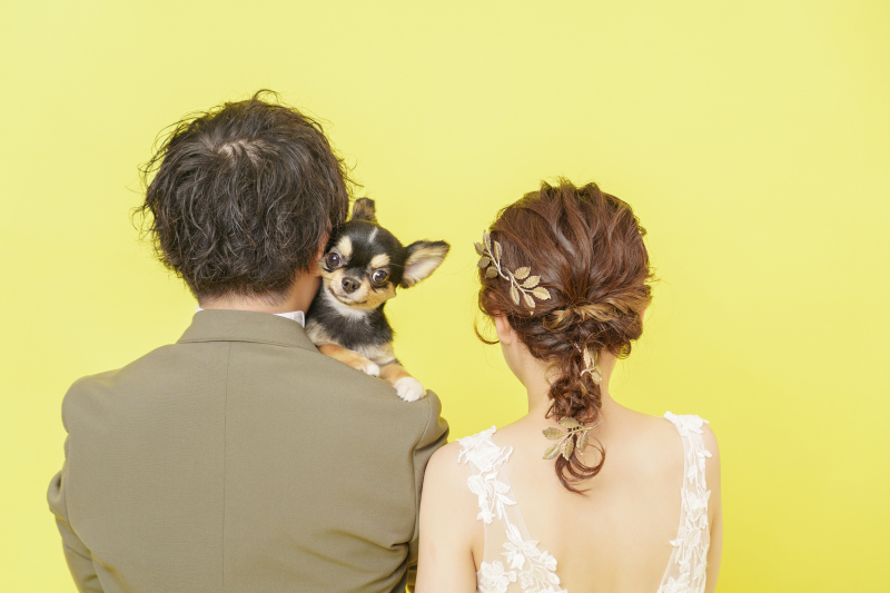 イエローのシーン！