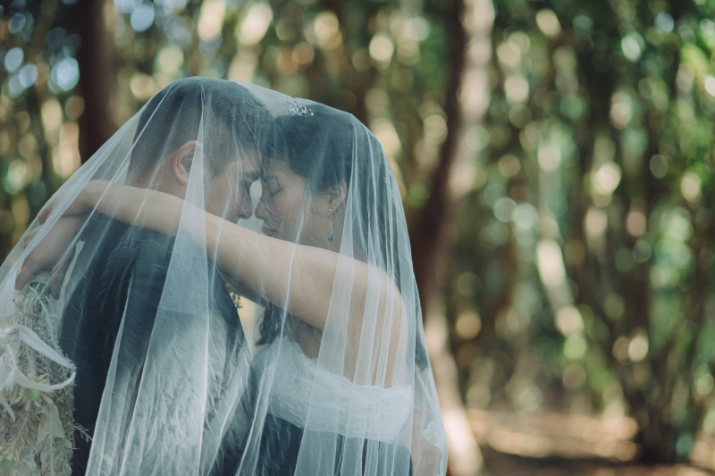 稲毛海浜公園 いなげの浜へ
