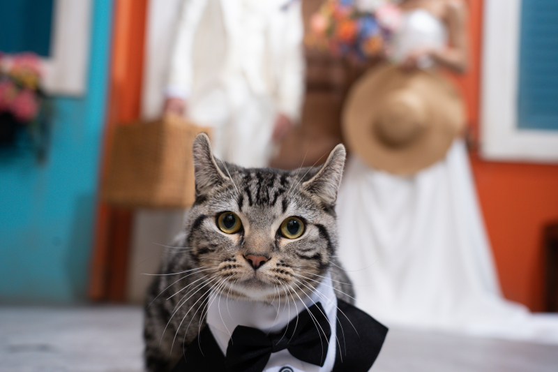 カメラ目線いただきました！