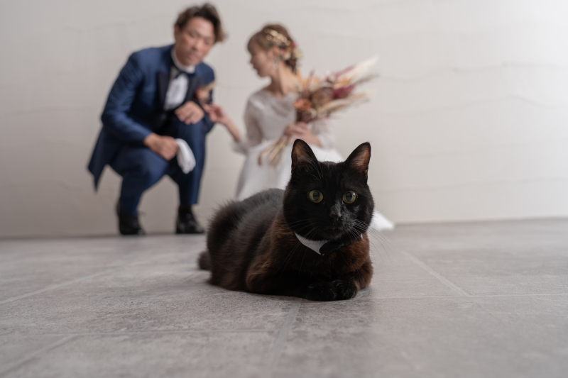 おふたりの大切な家族と一緒に！