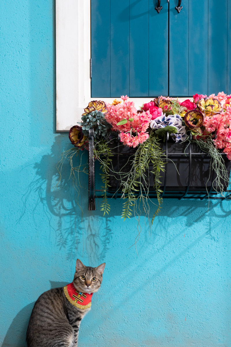 絵葉書のような1枚