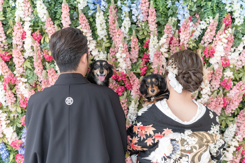 バックショットは