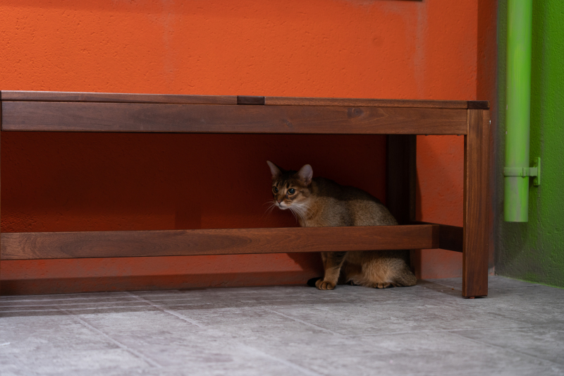 おふたりの他にきていた参加者は・・・