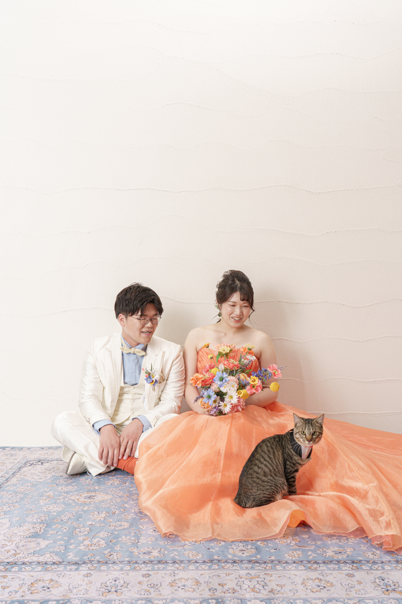 猫ちゃんのカメラ目線をいただきました！