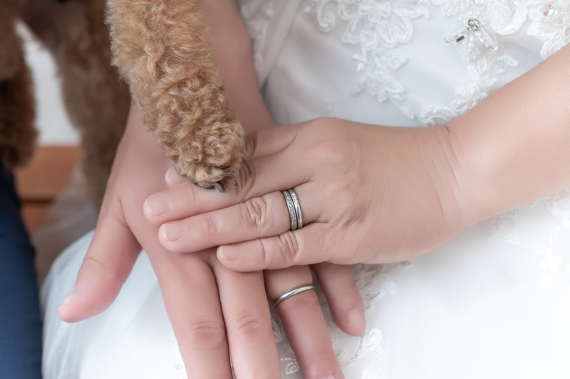 末永くお幸せに・・!