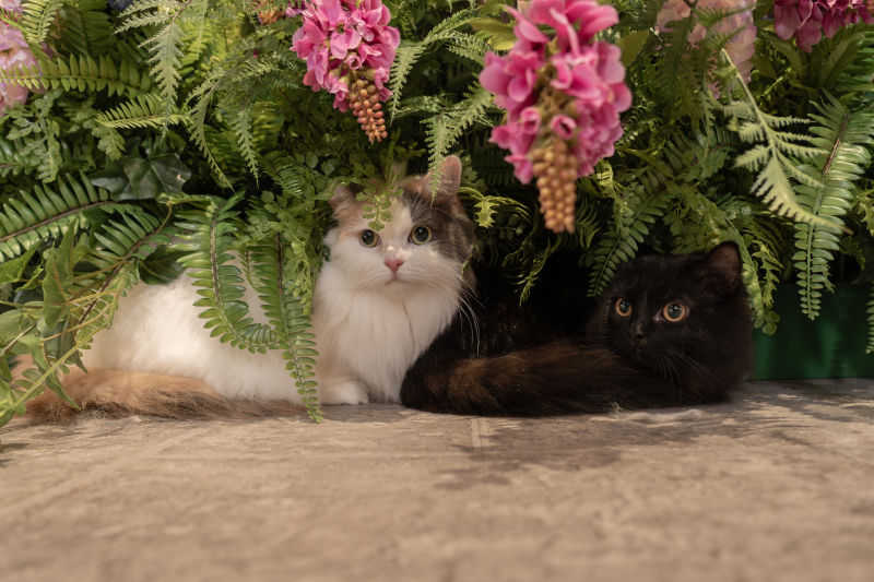 お気に入りスポット