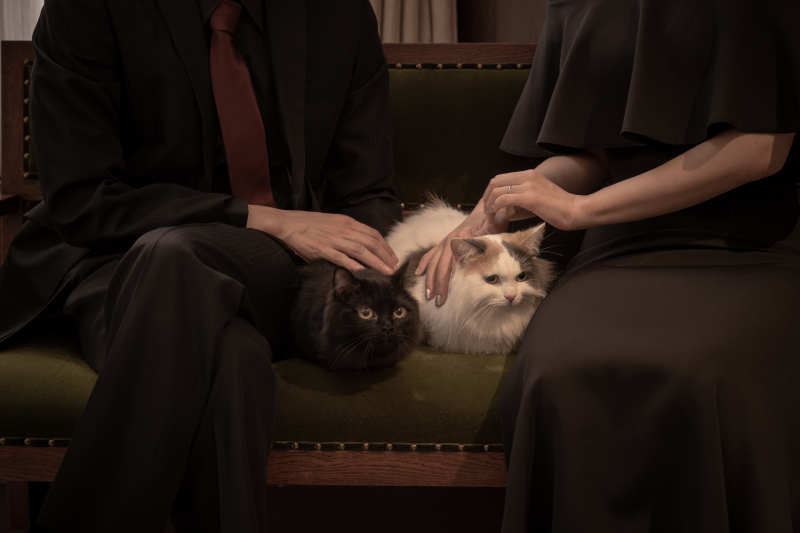 主役はこちら・・？