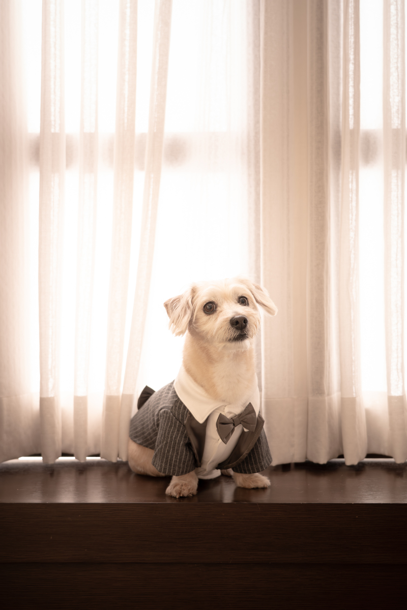 ソロショット☆