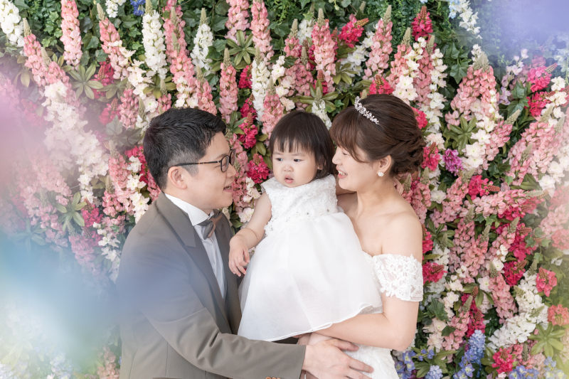 壁一面のルピナス