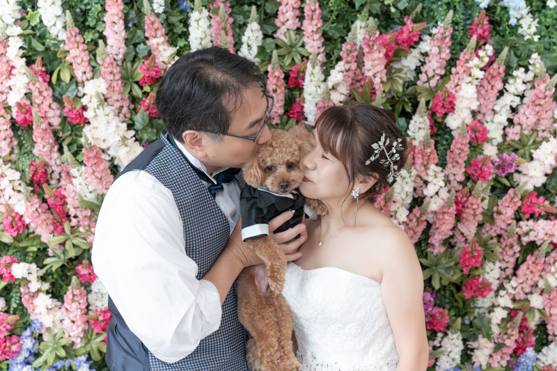 ご機嫌アラン君