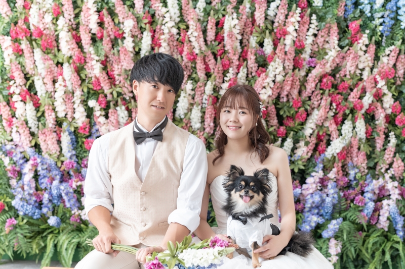 テカポ湖　ルピナスの花々と一緒に