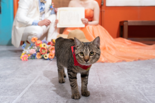 愛猫と一緒に・・・♡