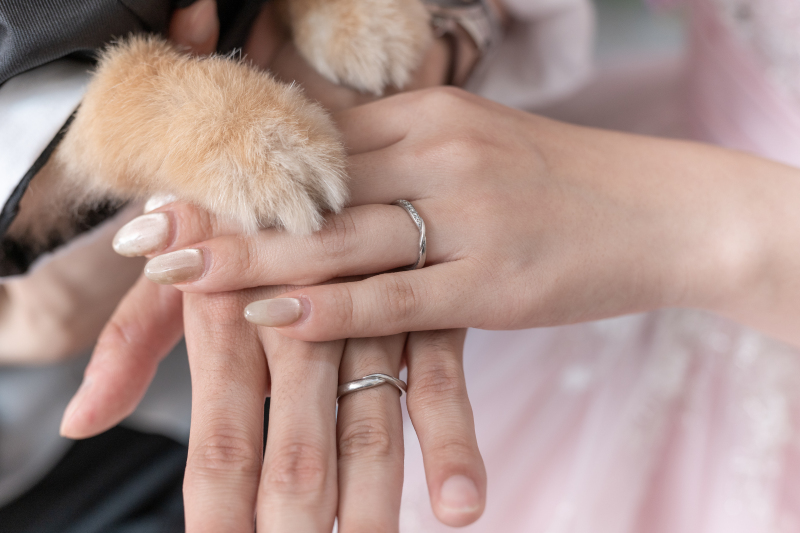 手を合わせて・・