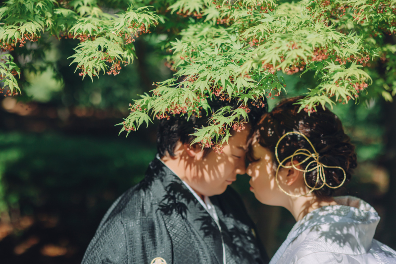 緑のもみじもこの時期ならでは!