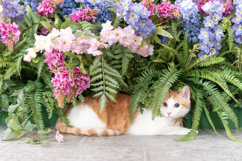 フラワーウォールの下で