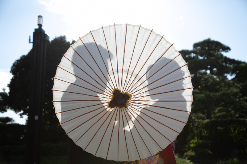 番傘に映るシルエット