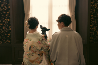 大切な愛犬とのスタジオフォト