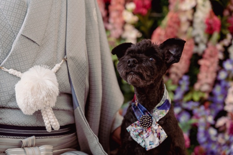 愛犬との撮影もできるスタジオ!