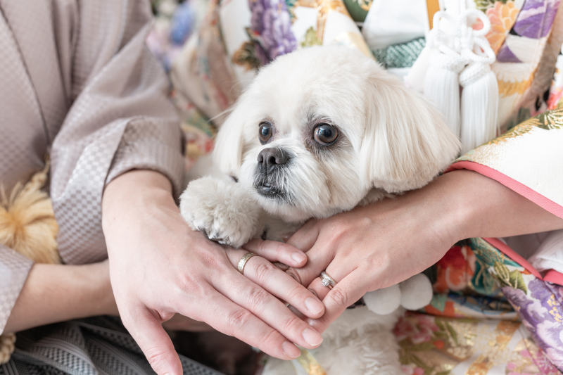 みんな手を合わせて♡