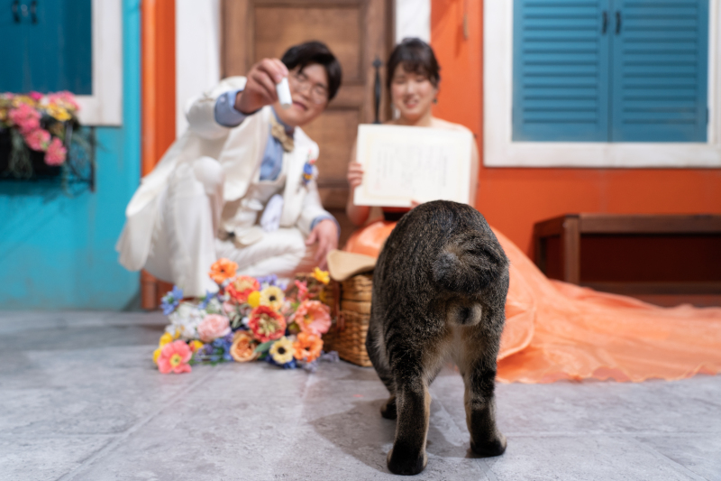 チャームポイントの可愛い尻尾も♪