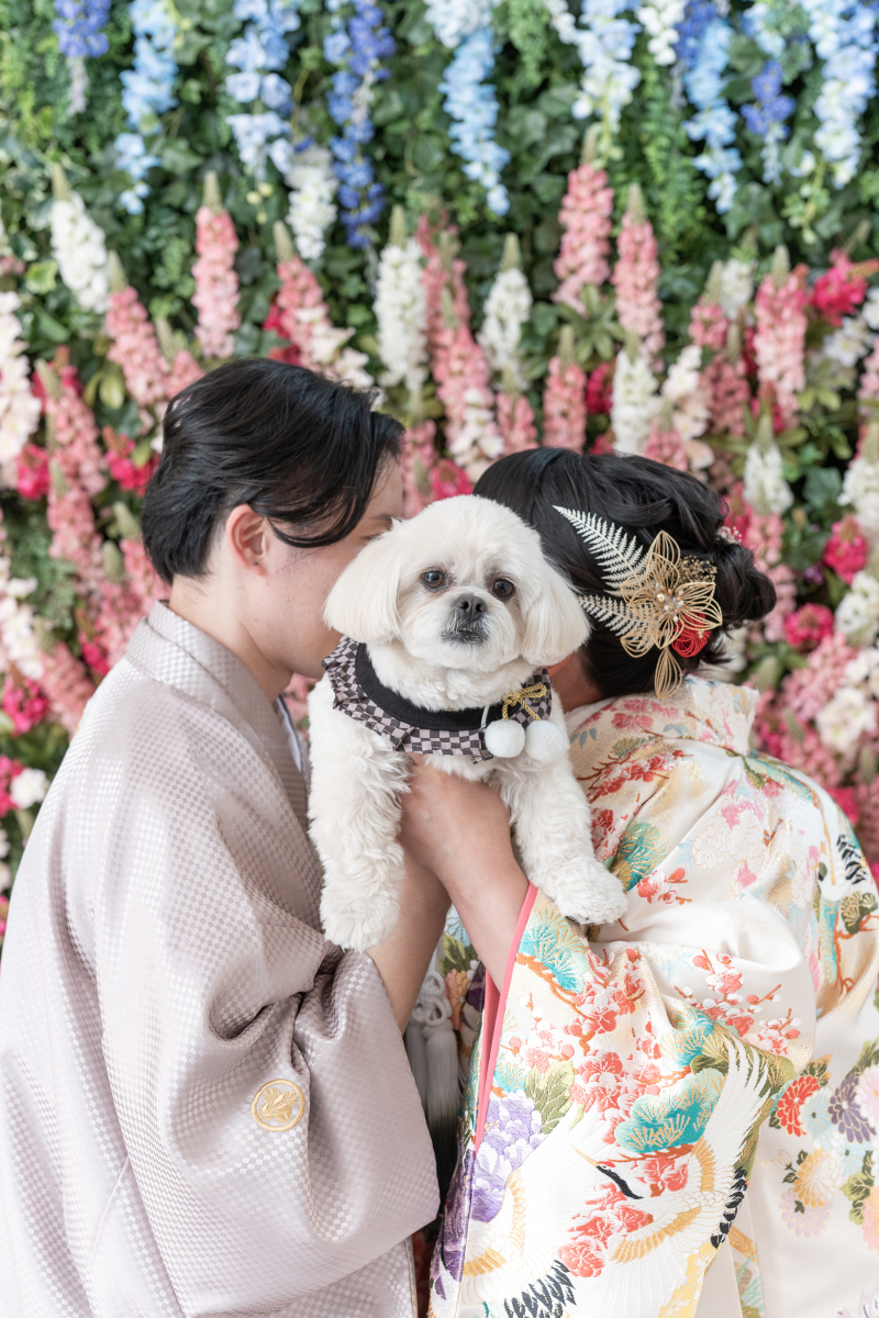 ワンちゃんもおめかしして