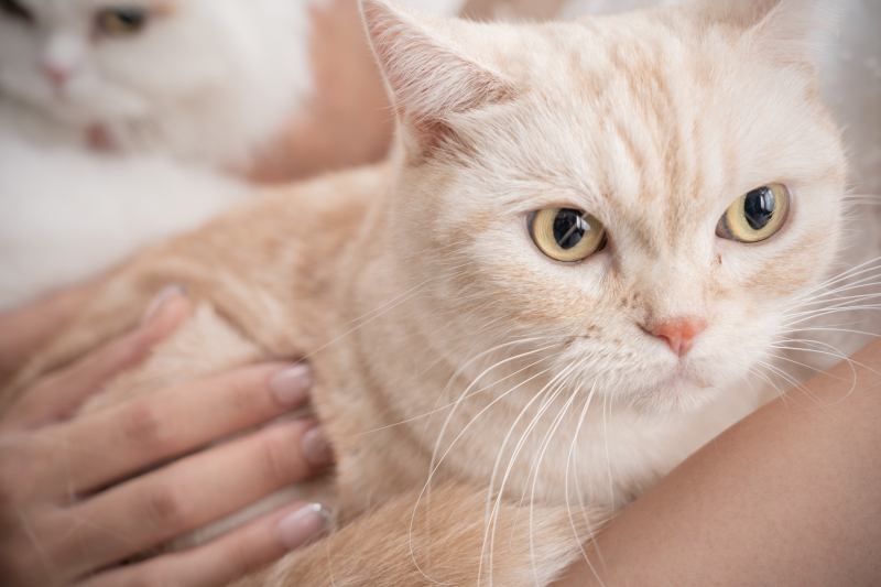 ソロショット・・♪