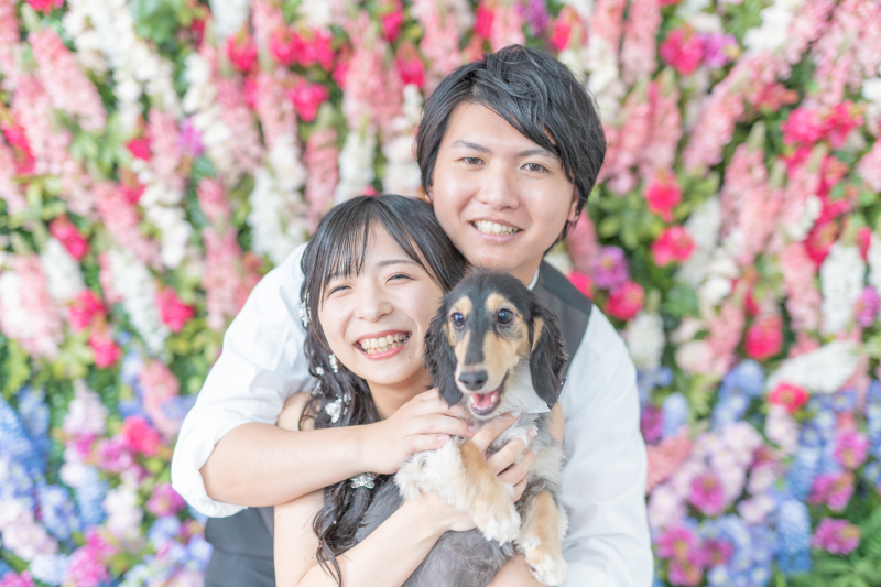 愛犬と叶えるウェディングフォト♪　＊洋装1着　スタジオ撮影プラン＊