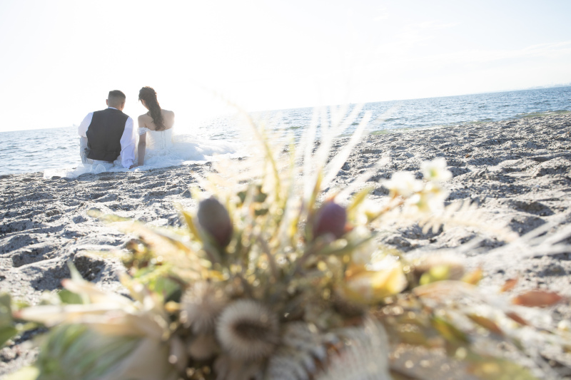 バックショット