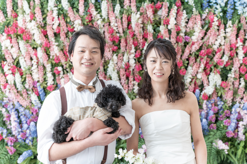 愛犬と一緒に♪ *洋装 スタジオ1着プラン*