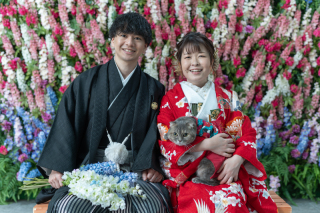 愛猫と叶える和装フォト　＊和装　スタジオ1着プラン＊