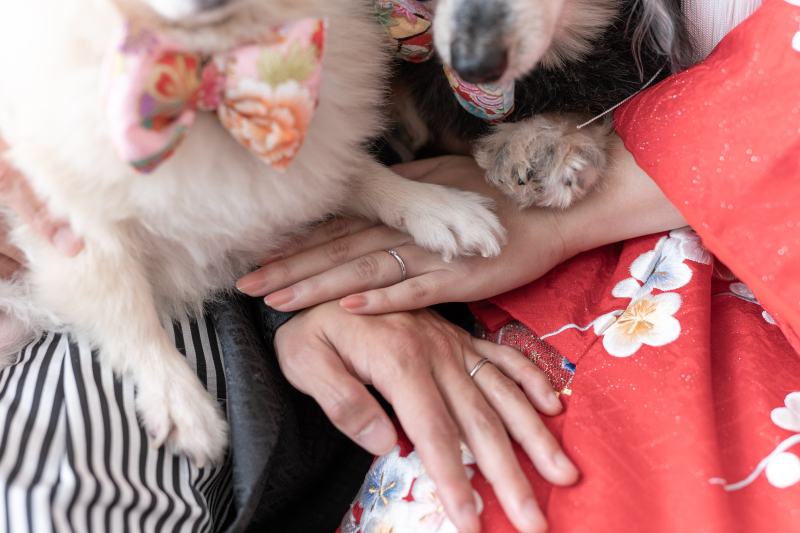 みんなの手と手を合わせて