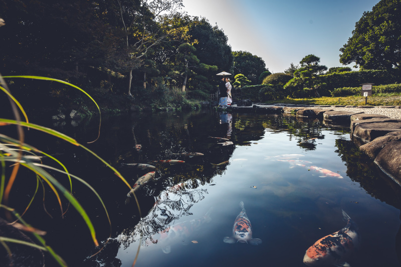 庭園ならではの風景で