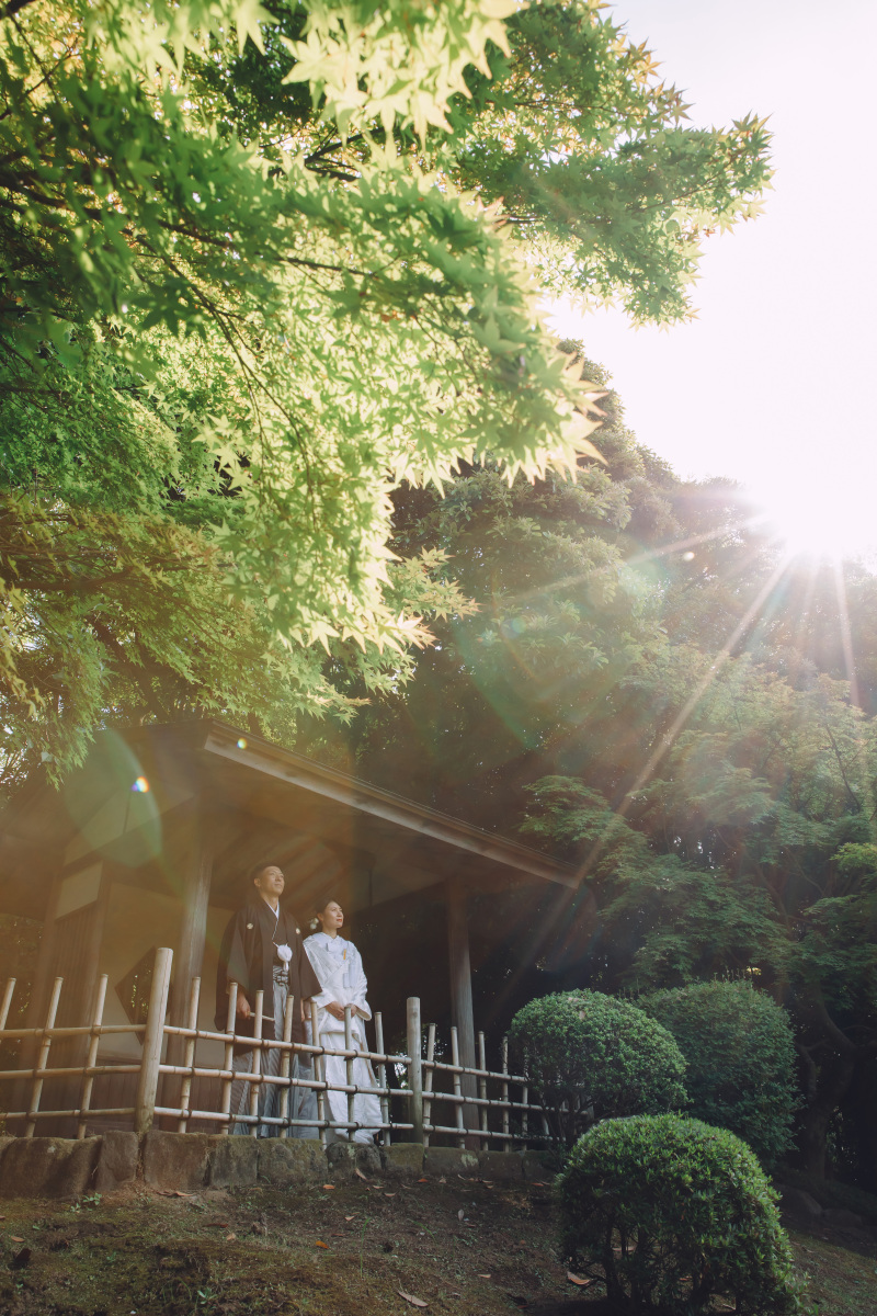 緑あふれる空間