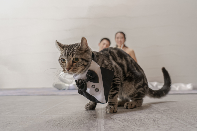 撮影スタート！