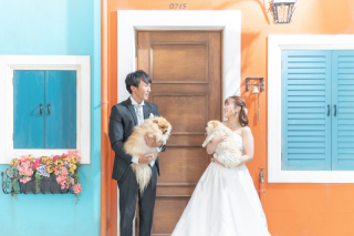 愛犬と一緒に　＊洋装1着 スタジオ撮影プラン＊