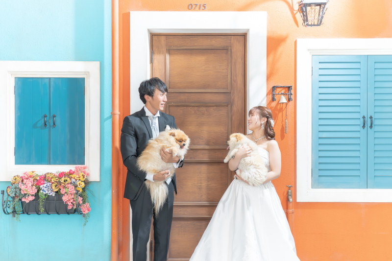 愛犬と一緒に　＊洋装1着 スタジオ撮影プラン＊