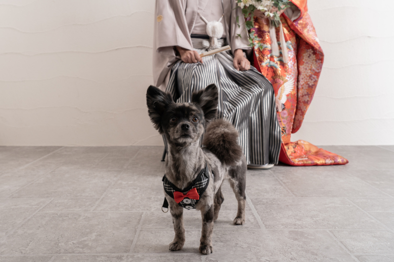 本日の主役は・・・