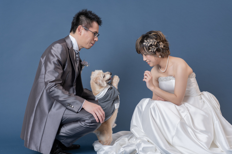 遊んで遊んで♪