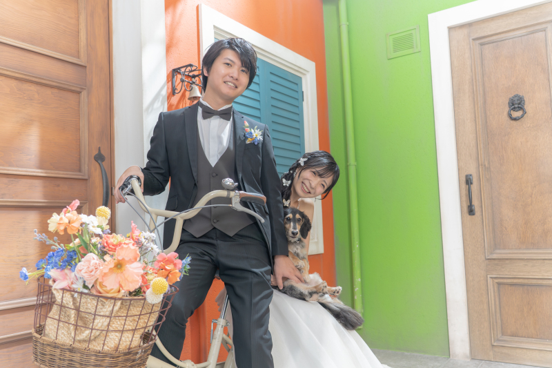 どこに行こうかな♪