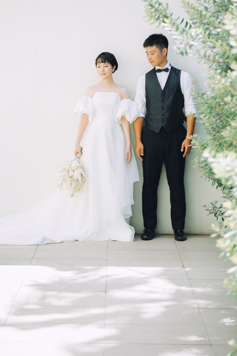 真っ白な背景で