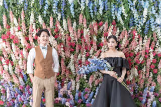 トレンドなブラックドレスで　＊洋装　スタジオ1着プラン＊