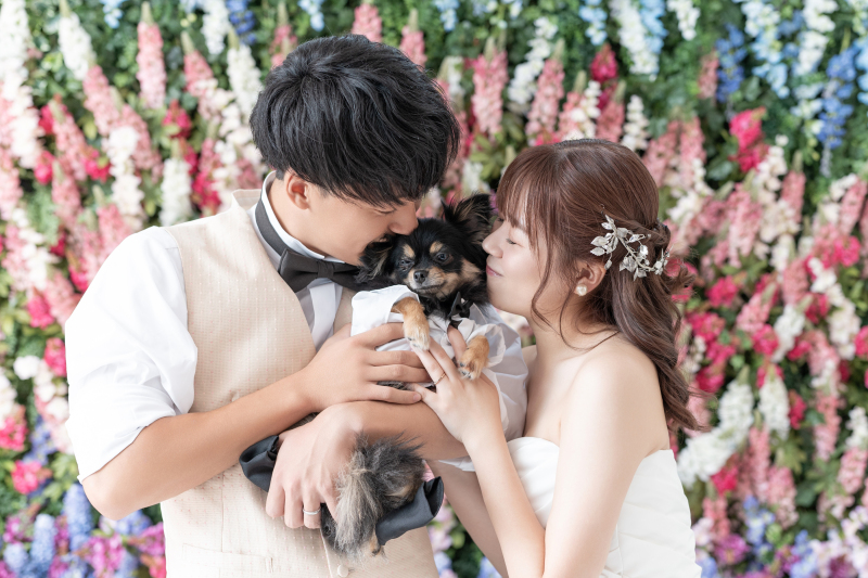 たくさん抱っこしてしてください♪