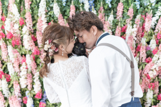 愛猫と一緒に撮影＊スタジオ洋装1着＊